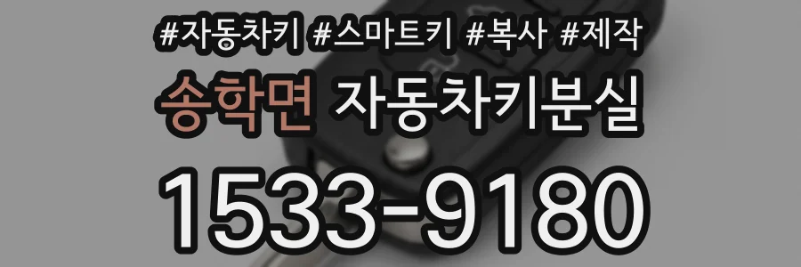 송학면 자동차키분실