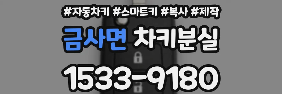 금사면 차키분실