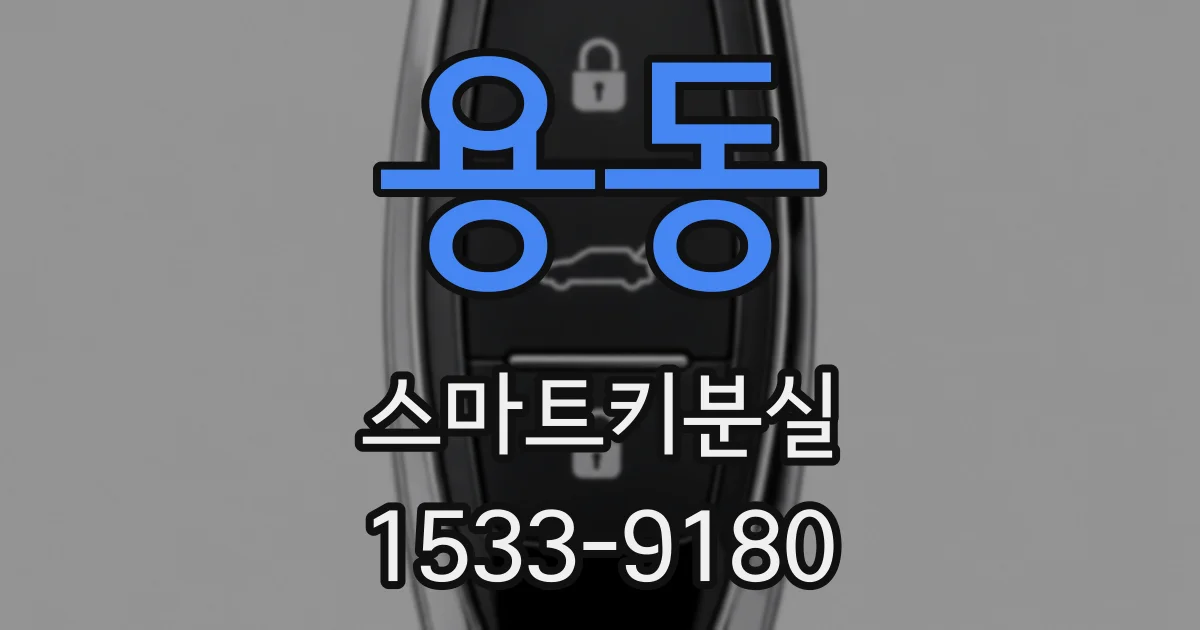 용동 스마트키분실