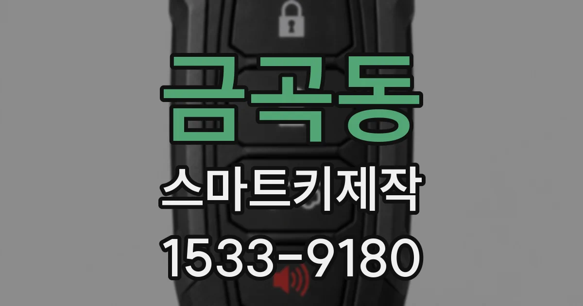 금곡동 스마트키제작