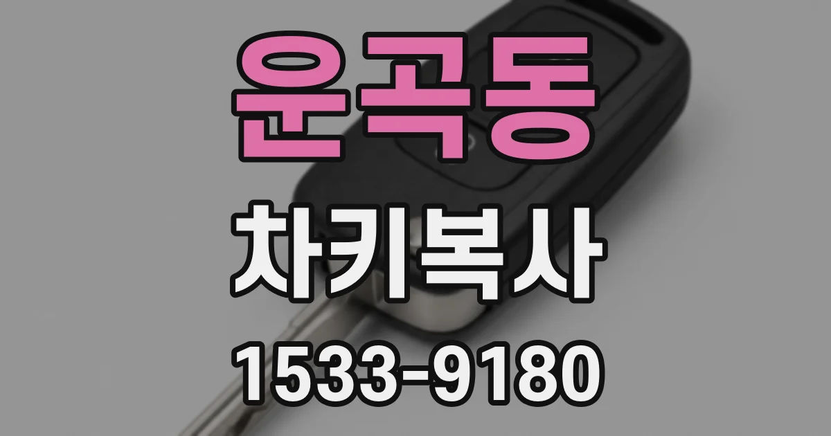 운곡동 차키복사