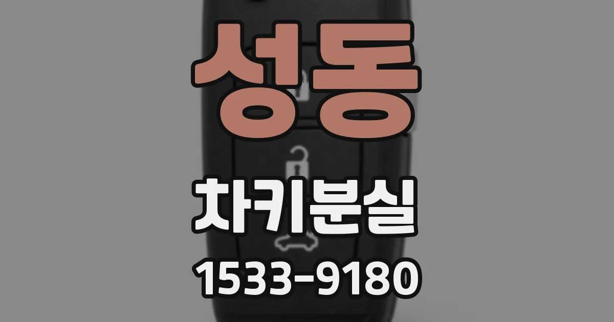 성동 차키분실