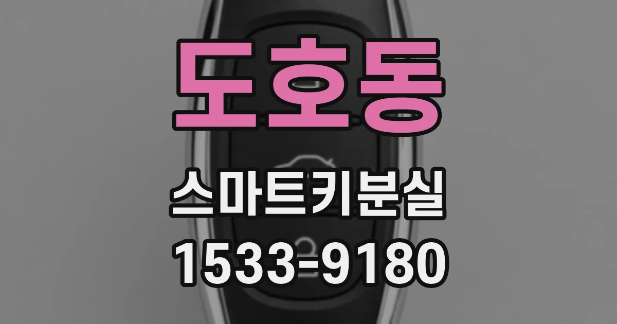 도호동 스마트키분실
