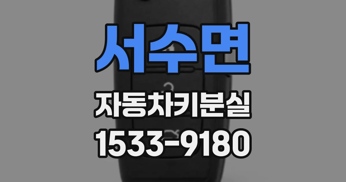 서수면 자동차키분실