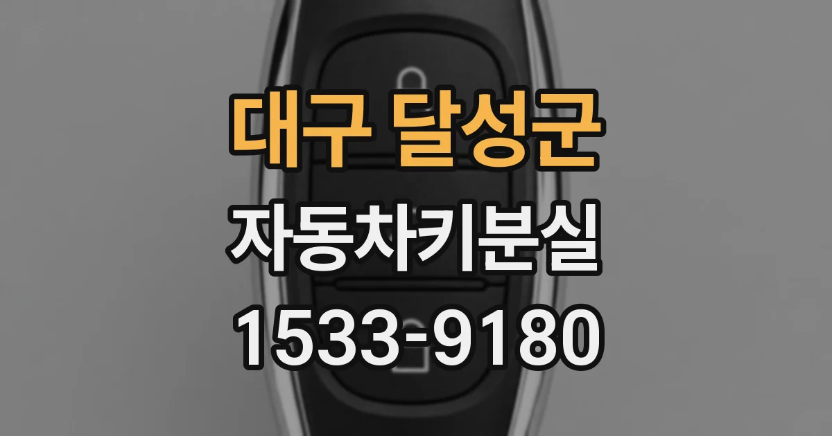 대구 달성군 자동차키분실