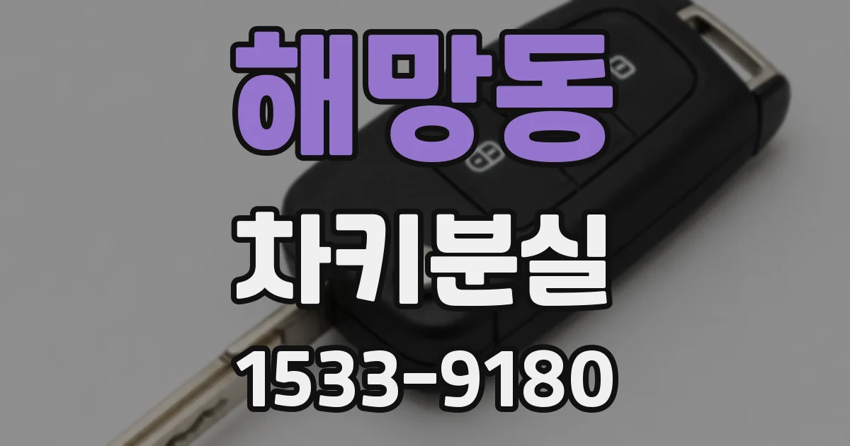 해망동 차키분실