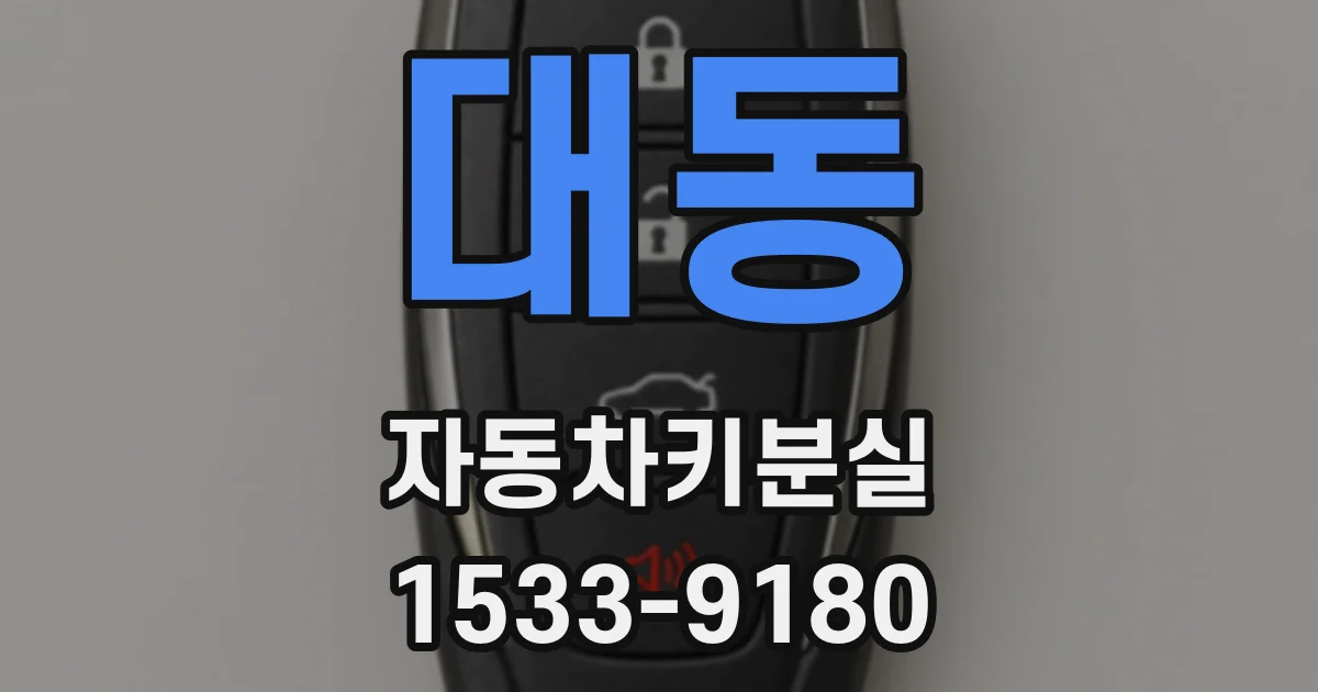 대동 자동차키분실