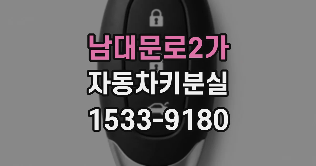 남대문로2가 자동차키분실