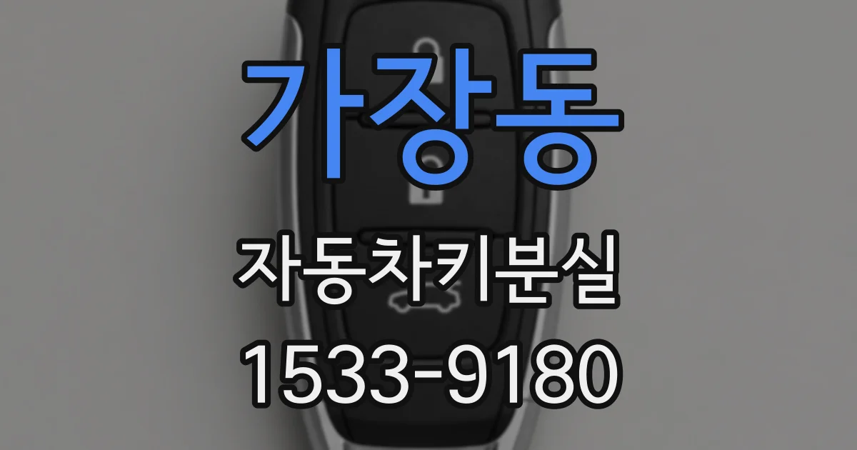 가장동 자동차키분실