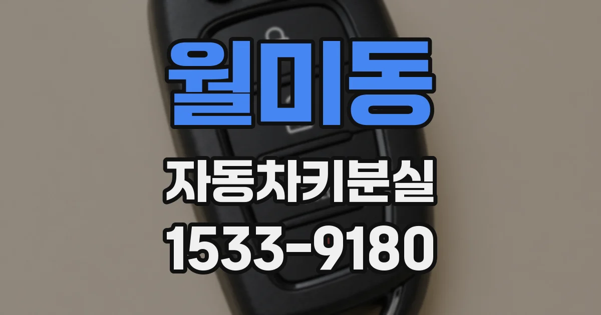 월미동 자동차키분실