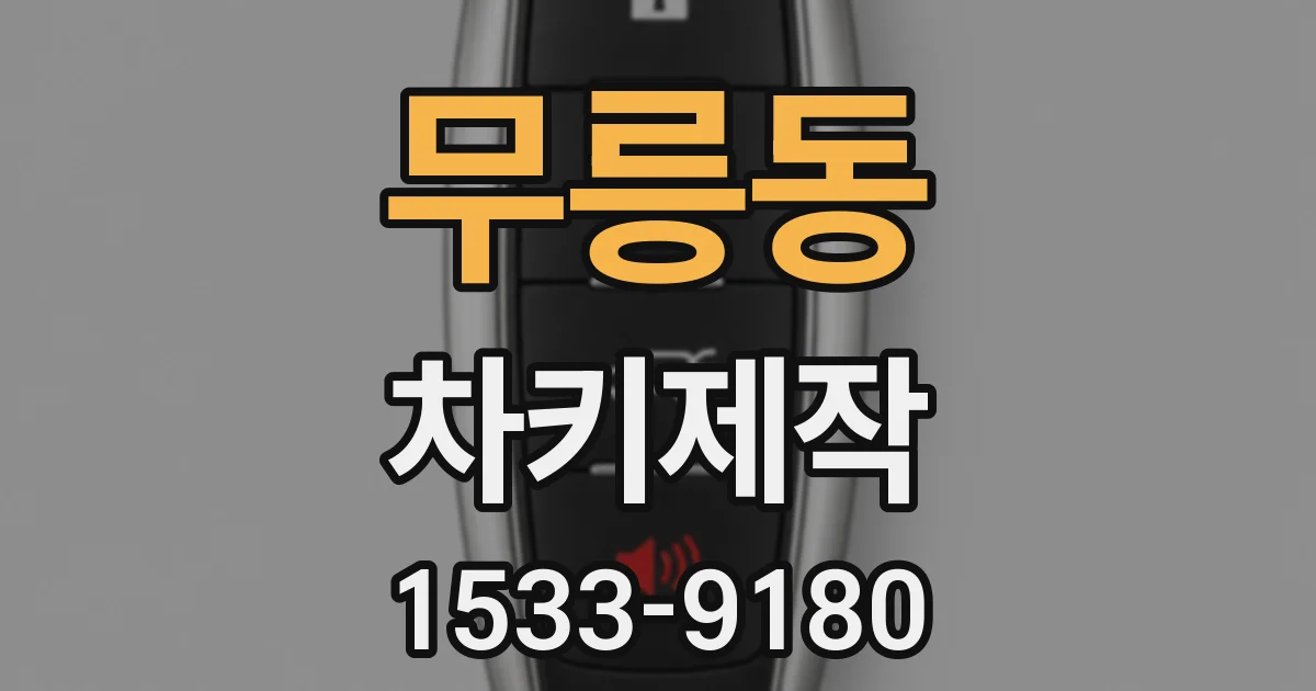 무릉동 차키제작