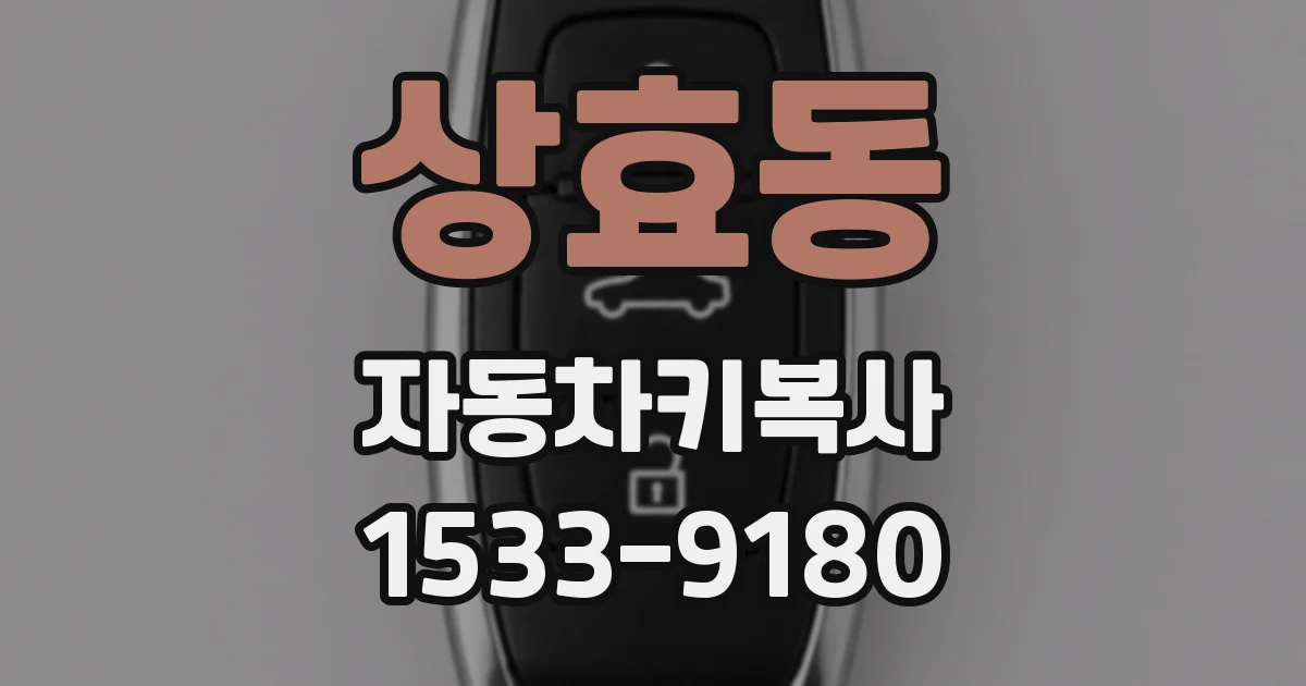 상효동 자동차키복사