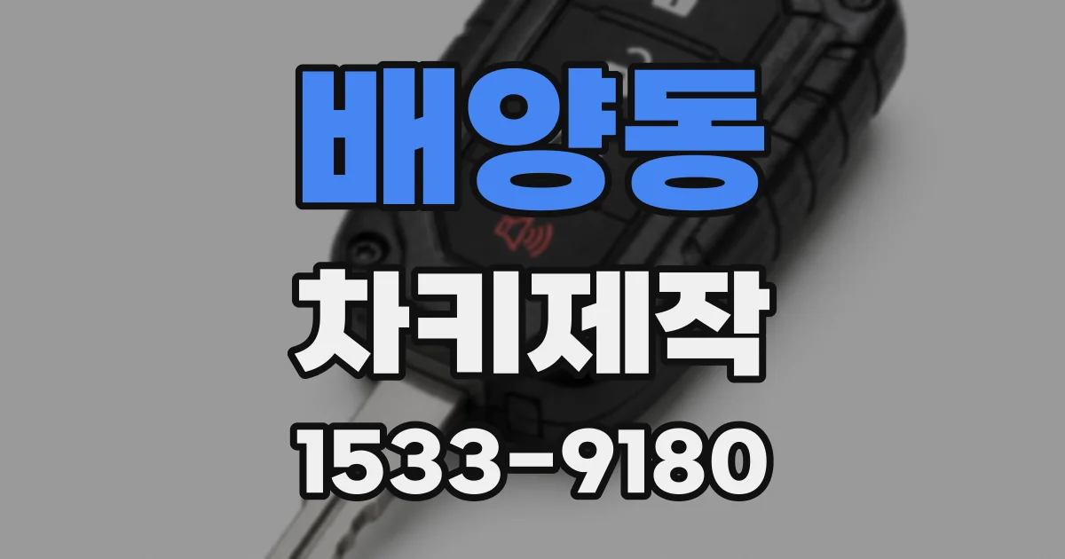 배양동 차키제작