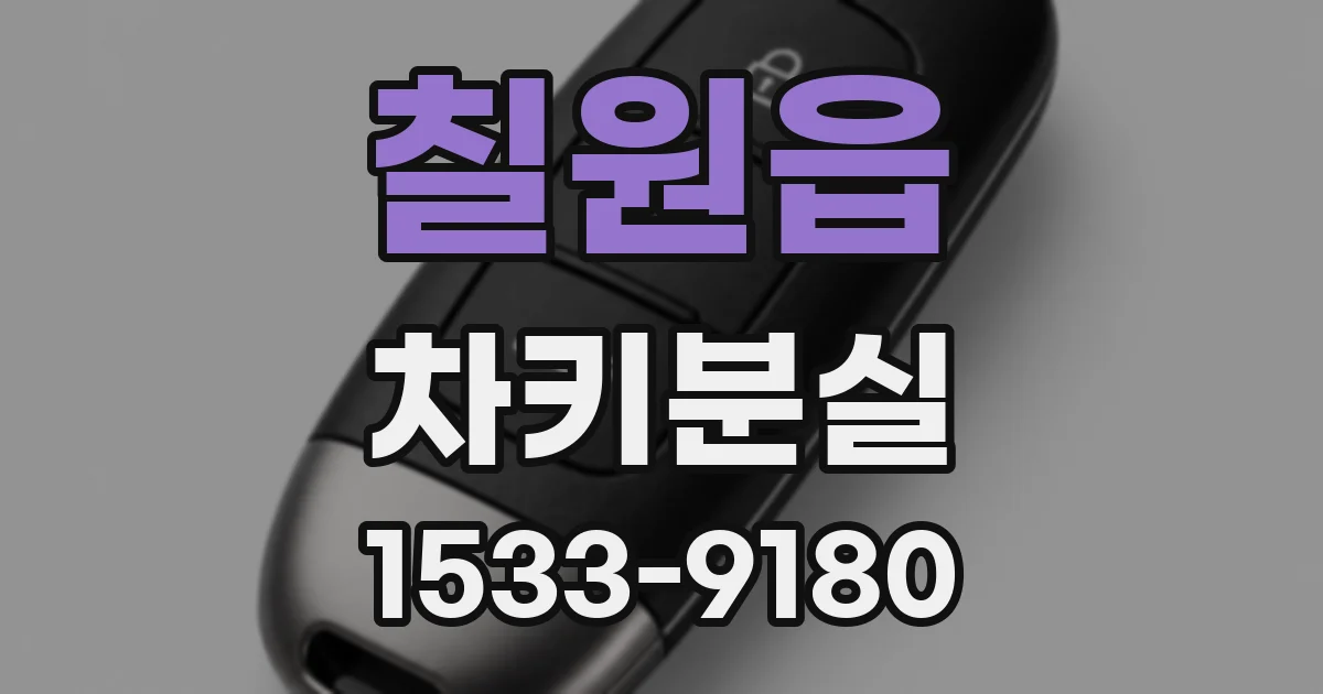 칠원읍 차키분실