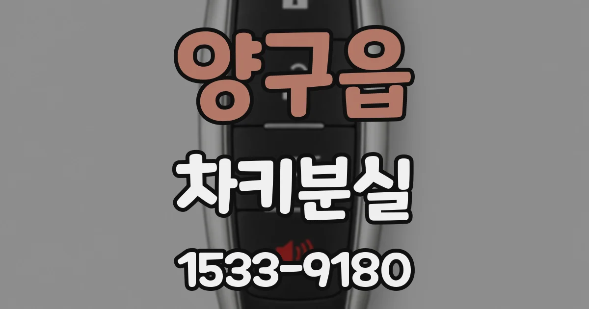 양구읍 차키분실