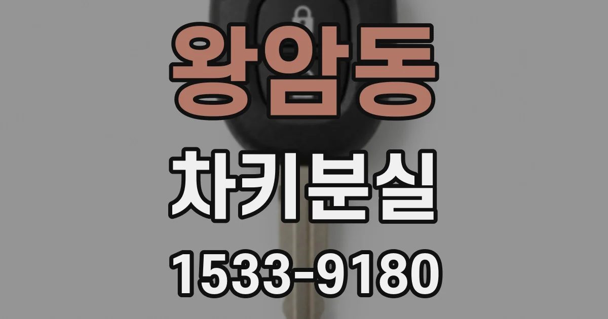 왕암동 차키분실