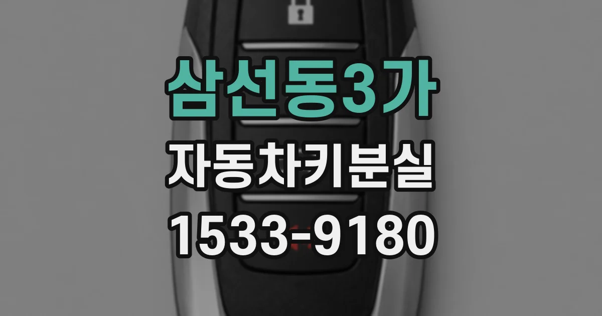삼선동3가 자동차키분실