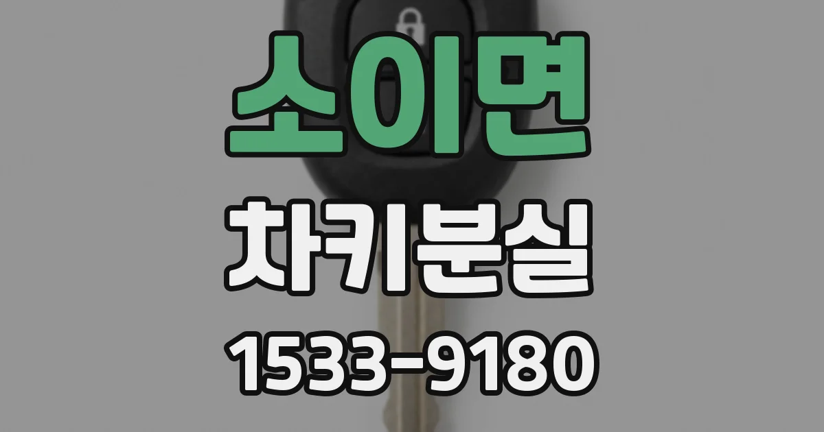 소이면 차키분실