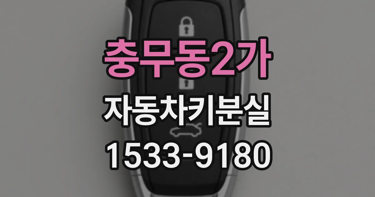 충무동2가 자동차키분실