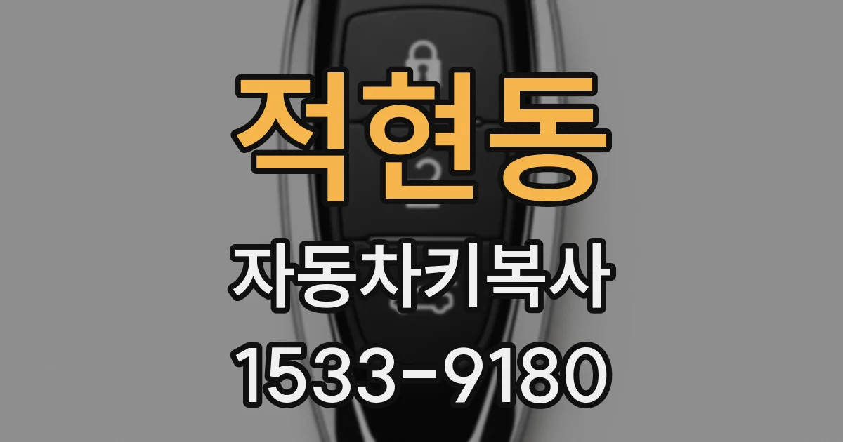 적현동 자동차키복사