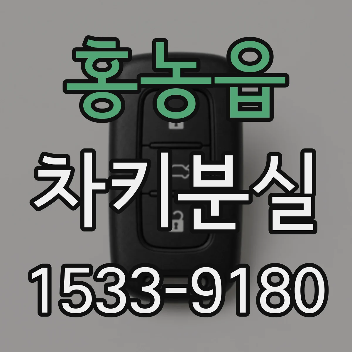 홍농읍 차키분실