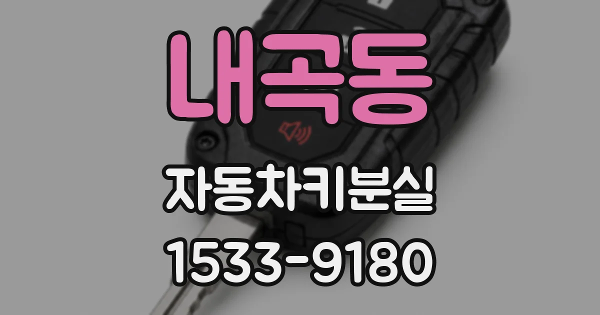내곡동 자동차키분실
