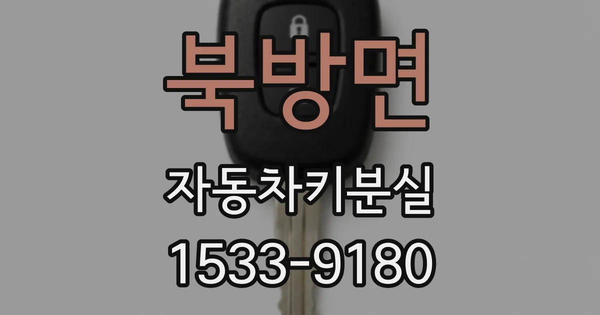 북방면 자동차키분실