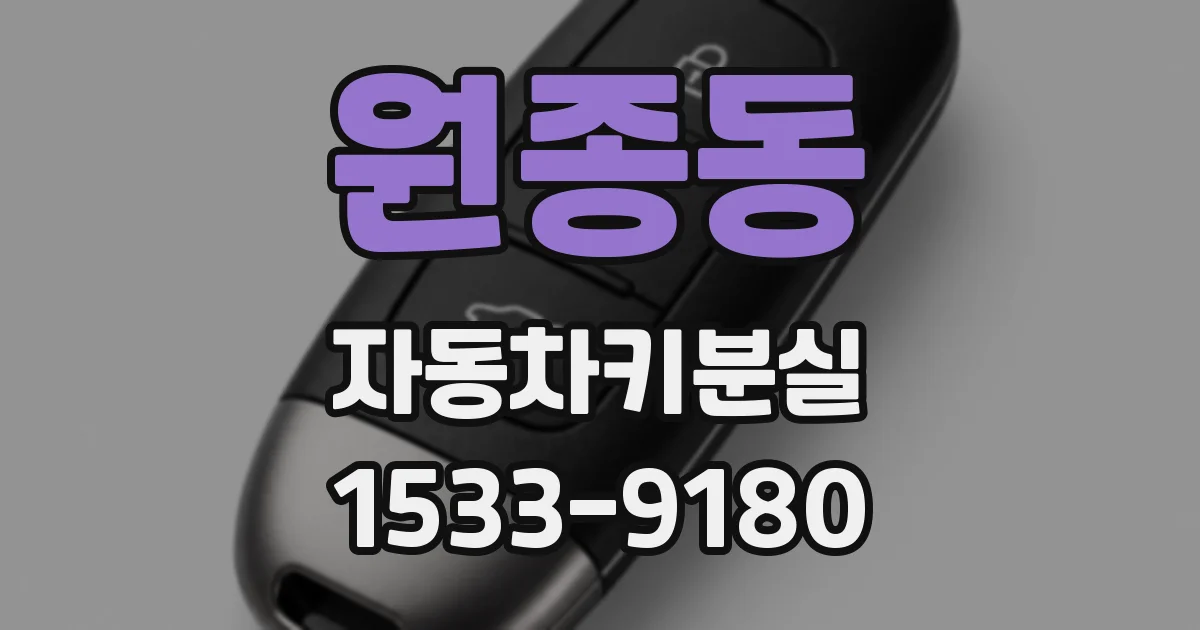 원종동 자동차키분실
