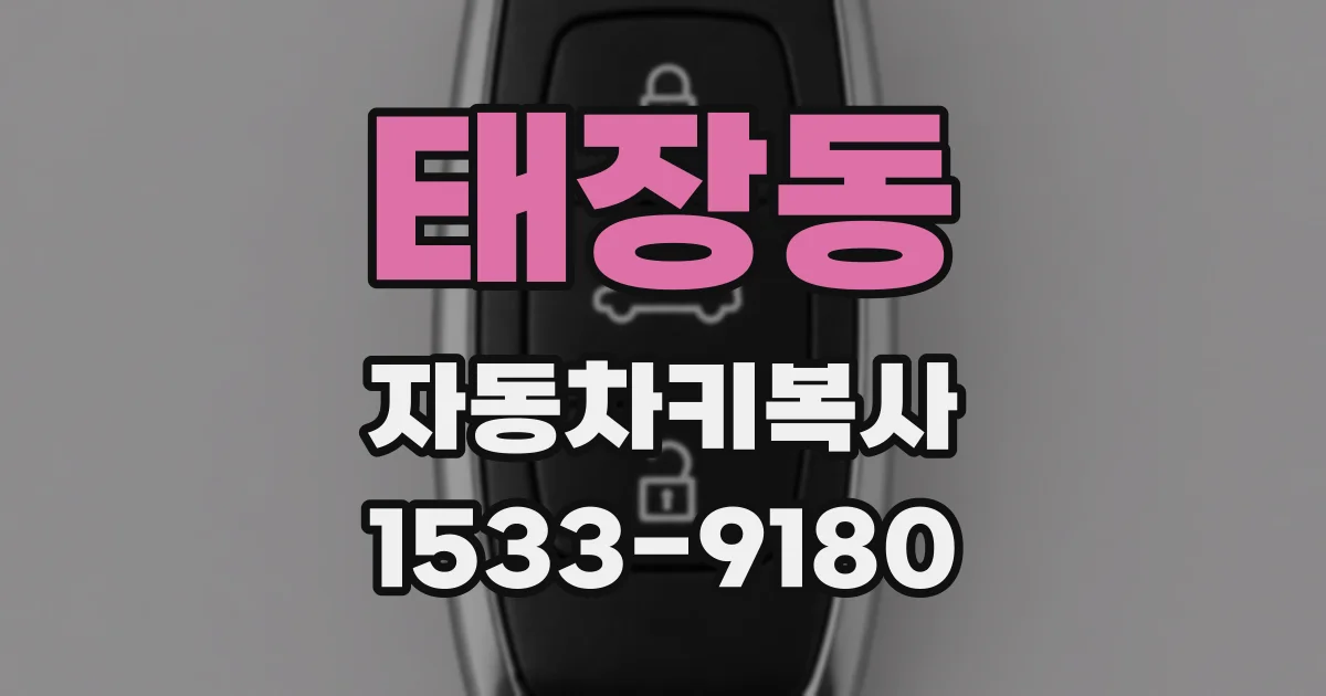 태장동 자동차키복사