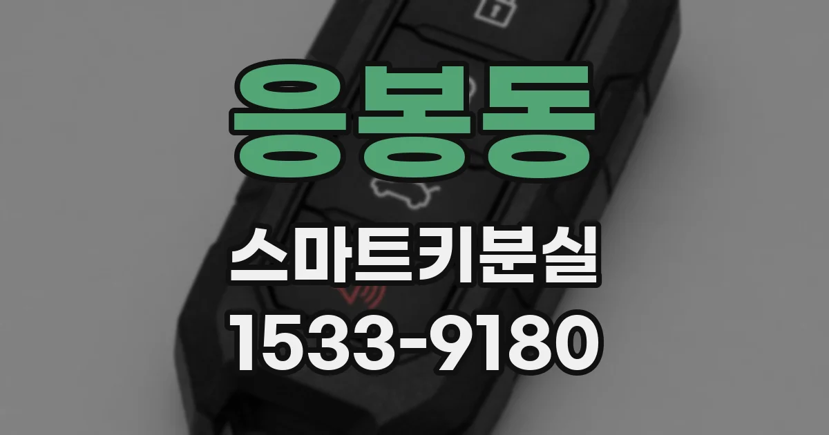 응봉동 스마트키분실