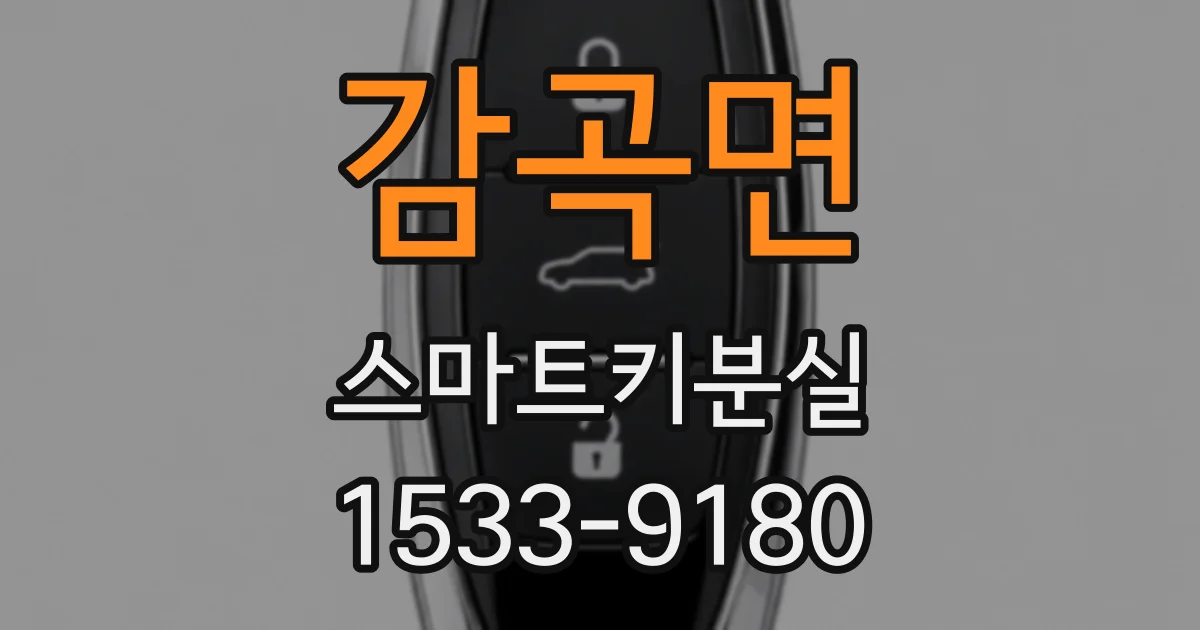 감곡면 스마트키분실