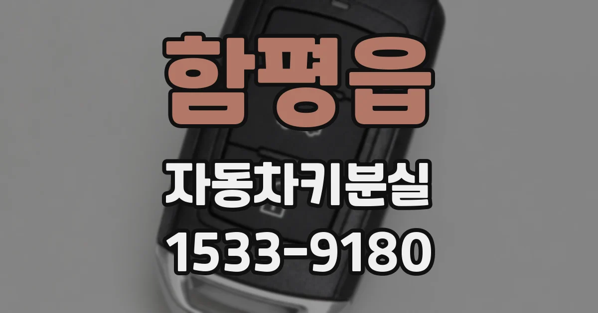 함평읍 자동차키분실