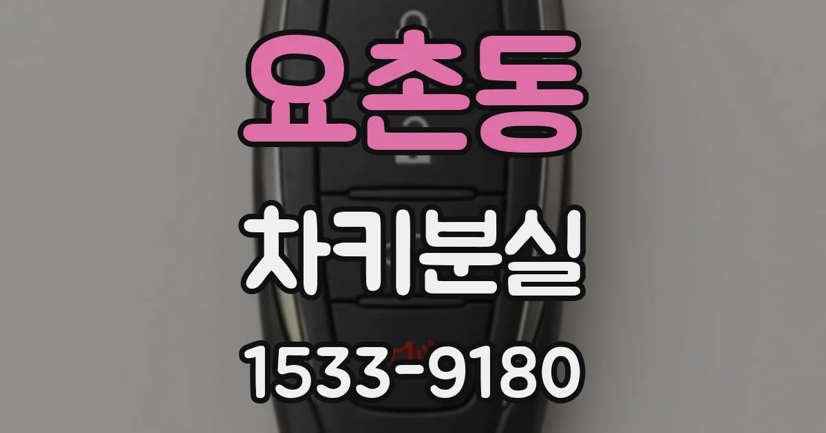 요촌동 차키분실