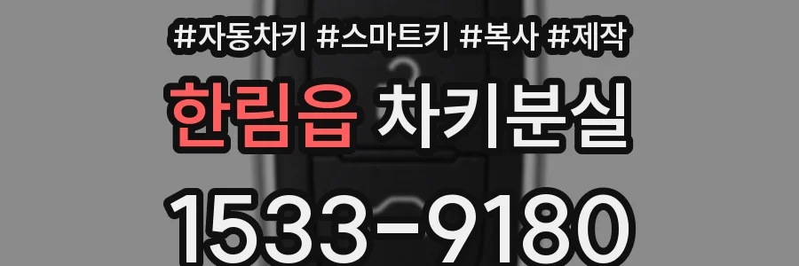 한림읍 차키분실
