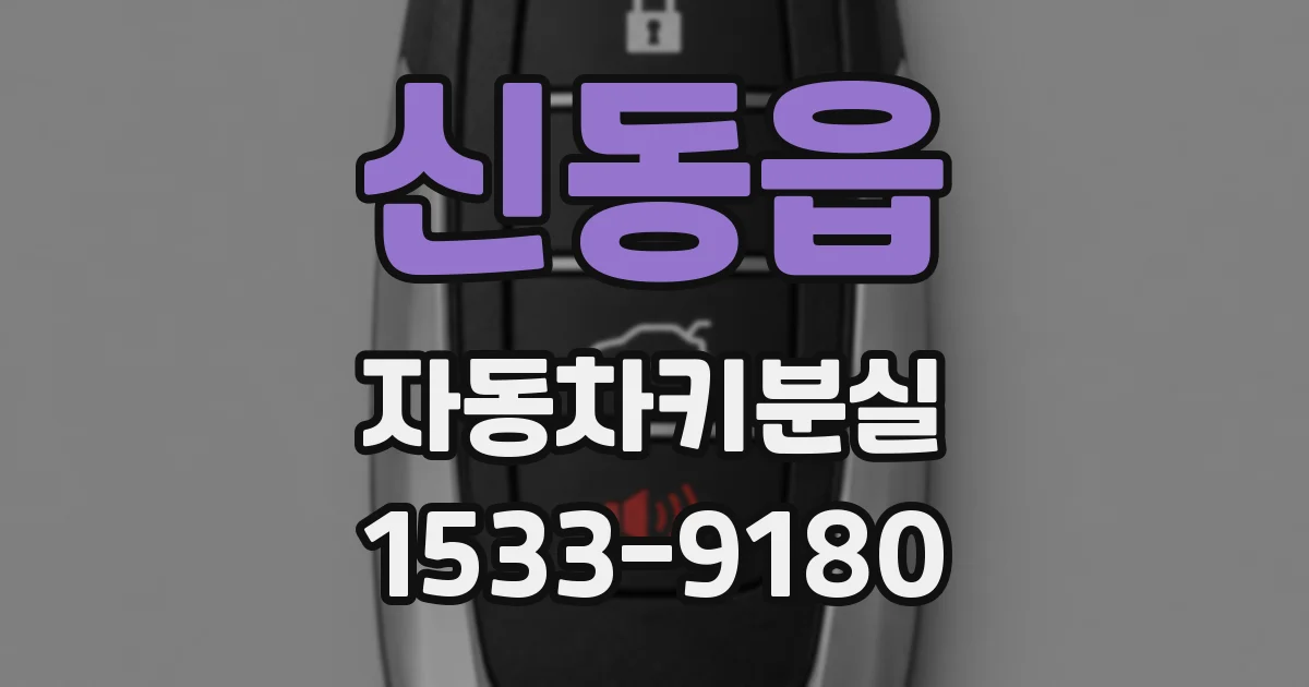 신동읍 자동차키분실