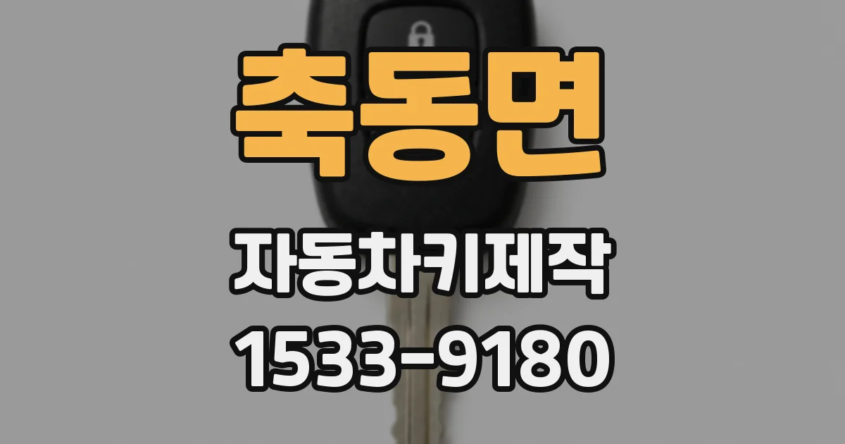 축동면 자동차키제작