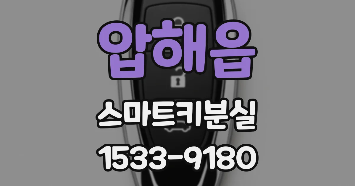 압해읍 스마트키분실