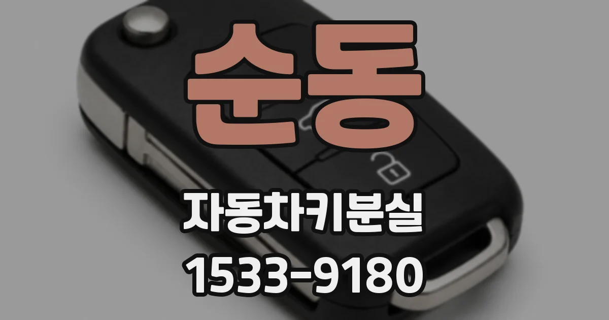 순동 자동차키분실