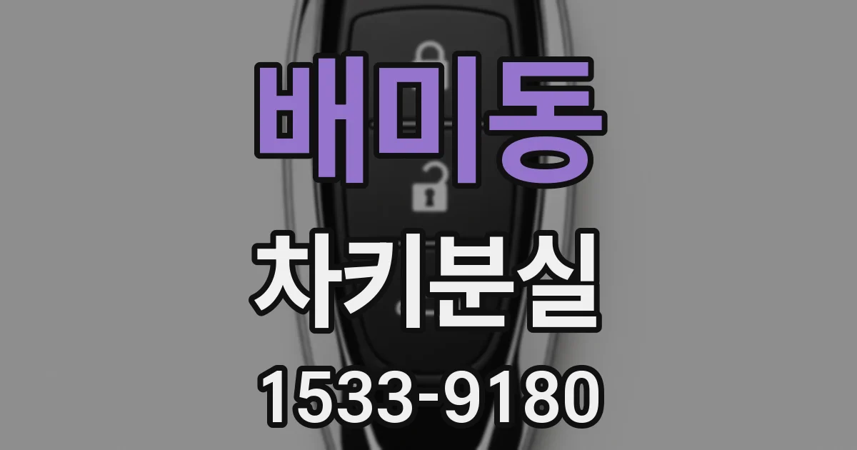 배미동 차키분실