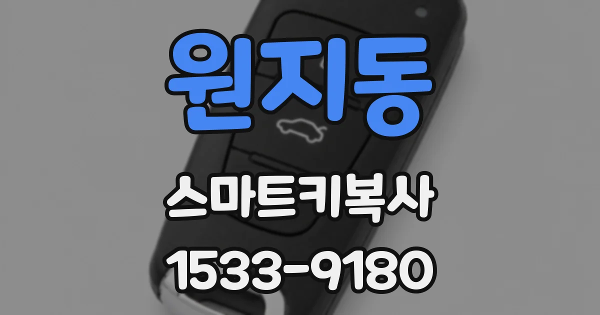 원지동 스마트키복사