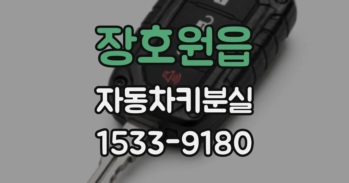 장호원읍 자동차키분실