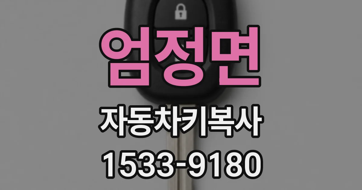 엄정면 자동차키복사