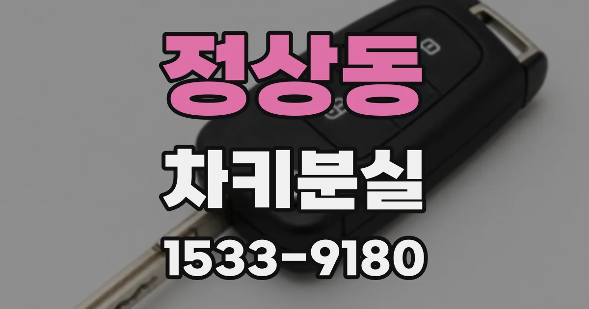 정상동 차키분실