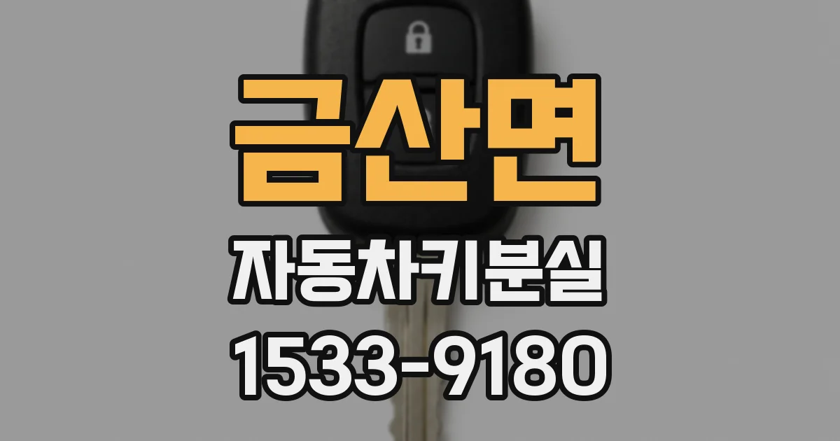 금산면 자동차키분실