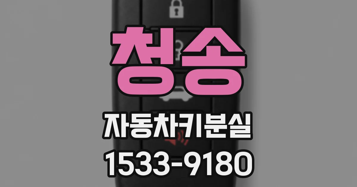 청송 자동차키분실