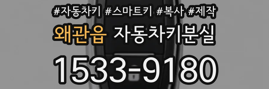 왜관읍 자동차키분실