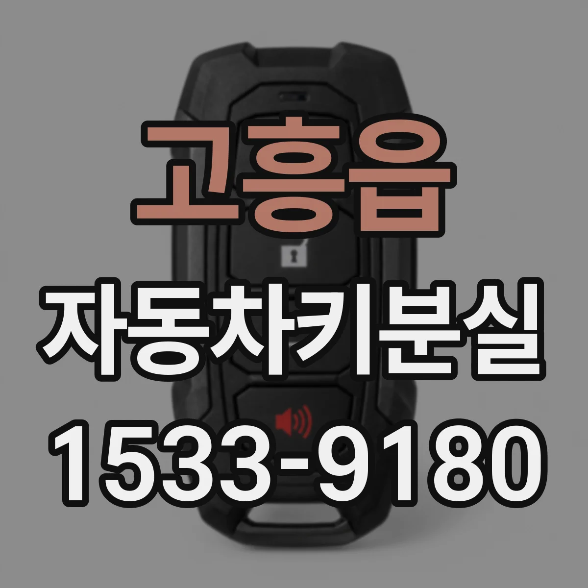 고흥읍 자동차키분실