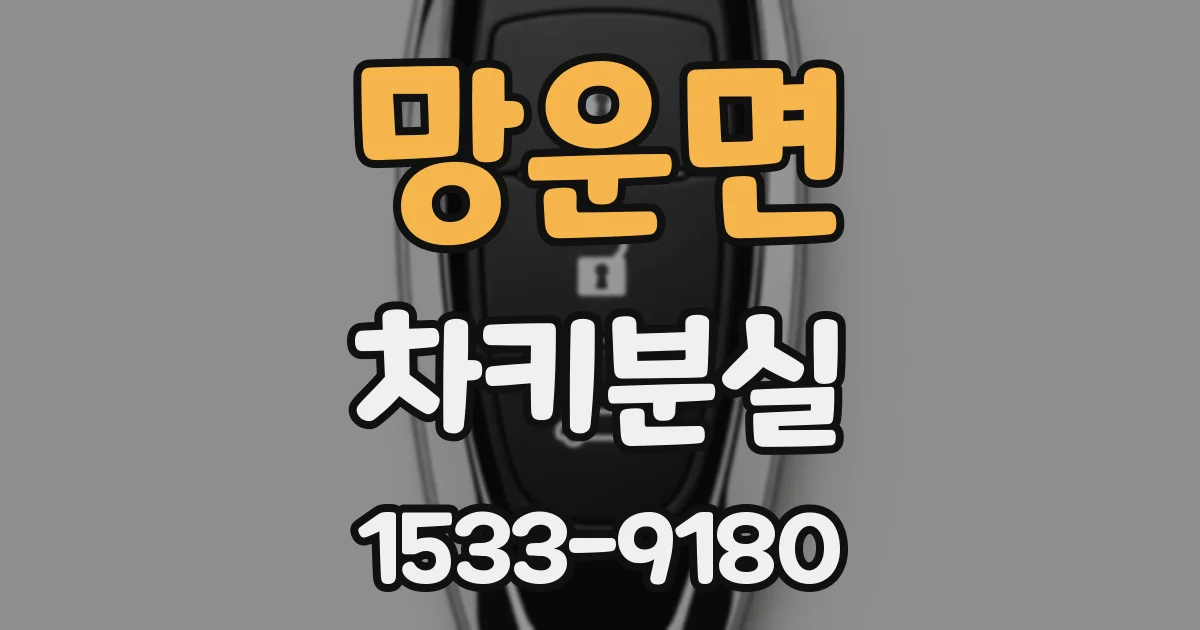망운면 차키분실