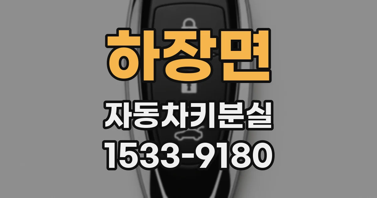 하장면 자동차키분실