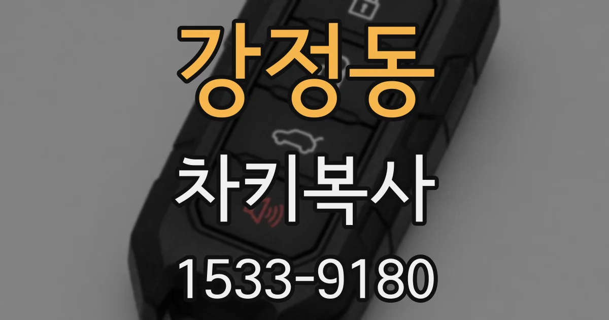 강정동 차키복사